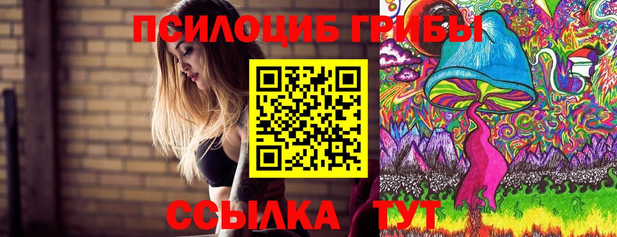 Псилоцибиновые грибы Psilocybe Верхняя Салда