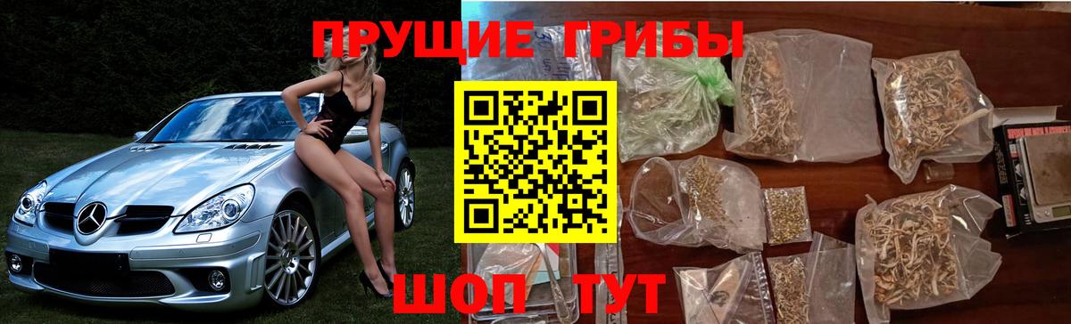 Псилоцибиновые грибы Magic Shrooms  Вход с VPN  Верхняя Салда 