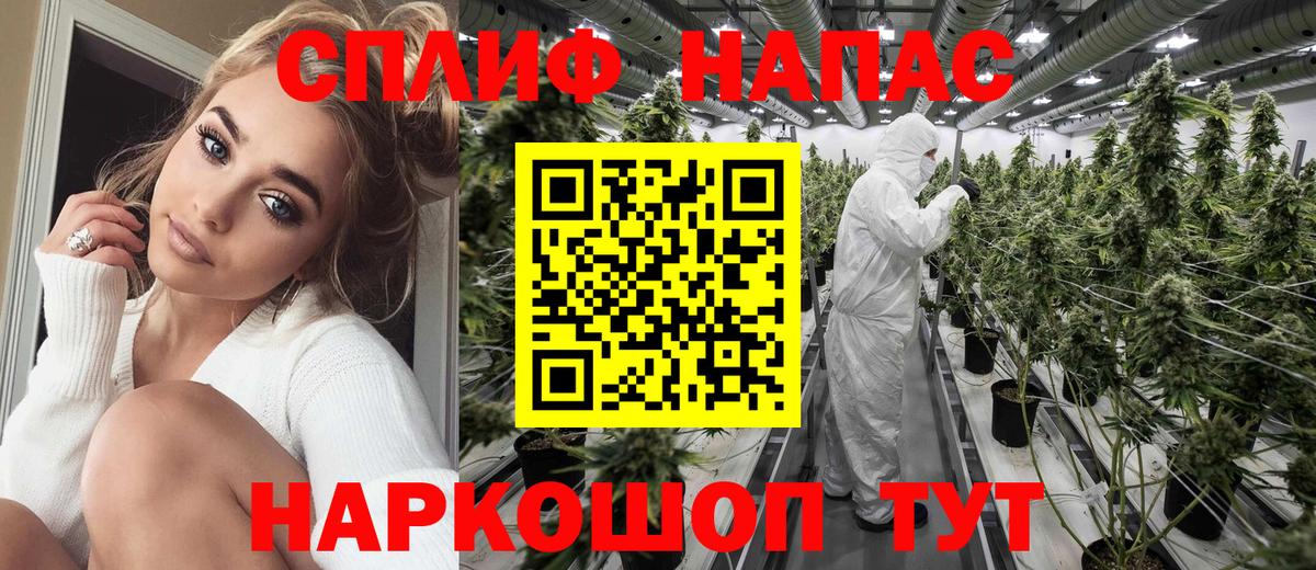 Конопля ГИДРОПОН Верхняя Салда
